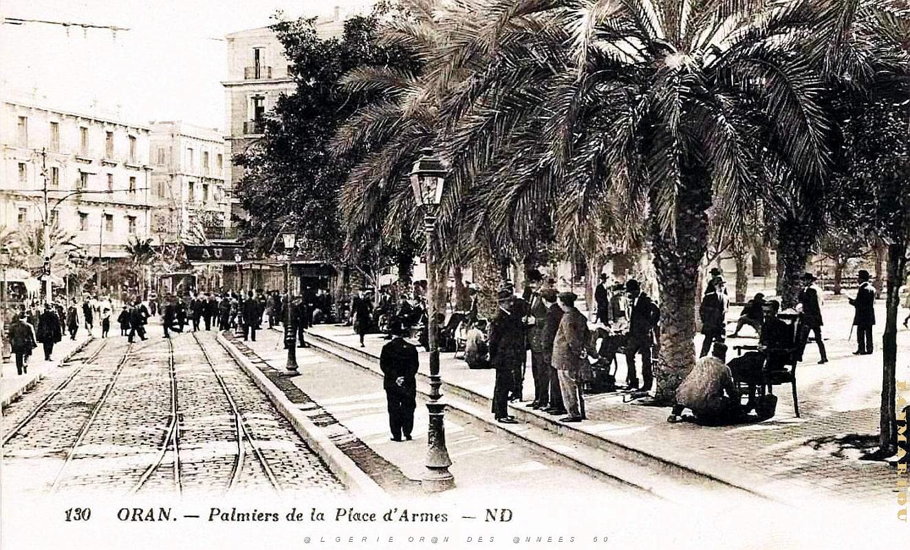 2375- Oran - Place d'Armes - Palmiers.jpg